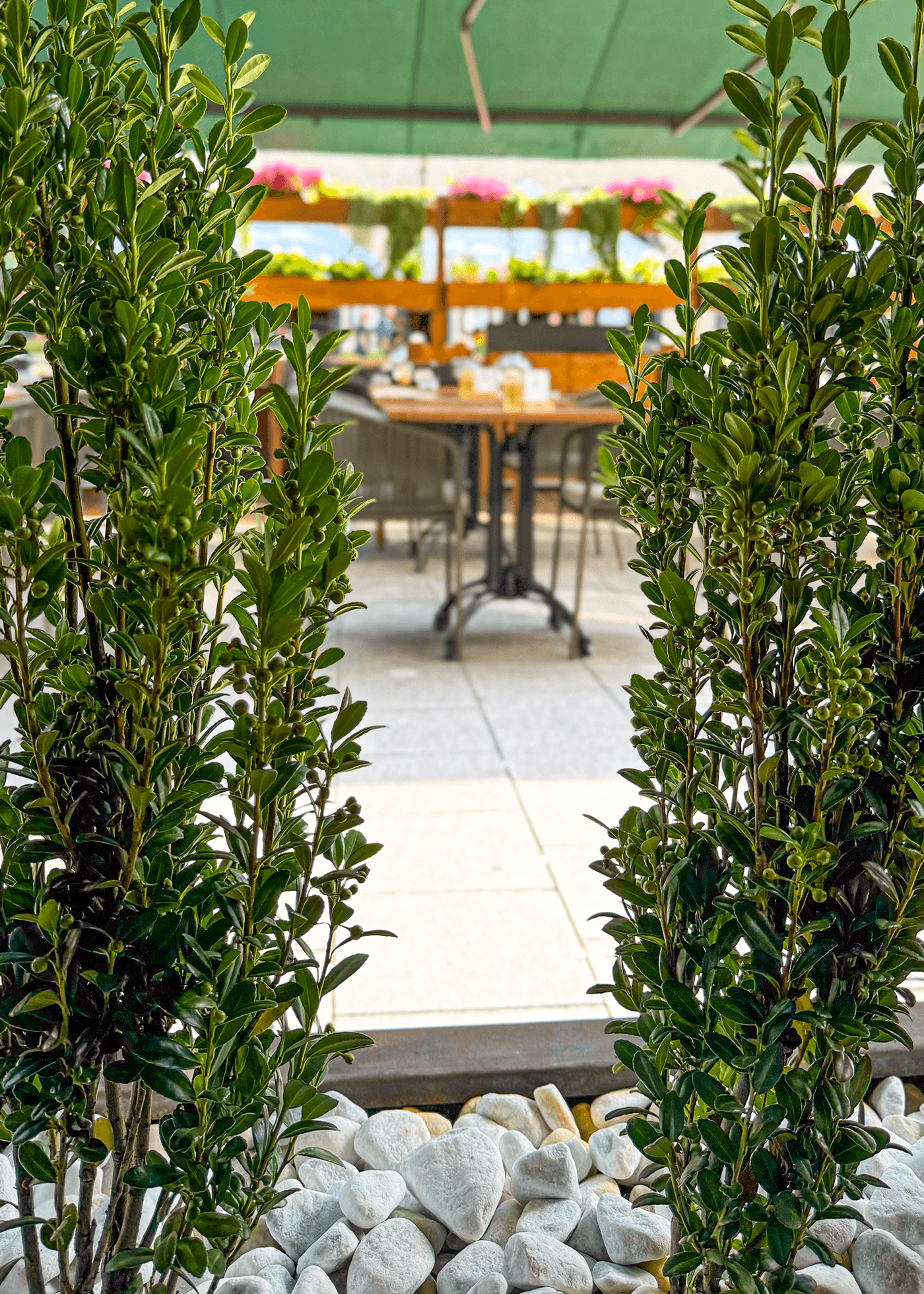 Grüne Terrasse mit Markise im Little London